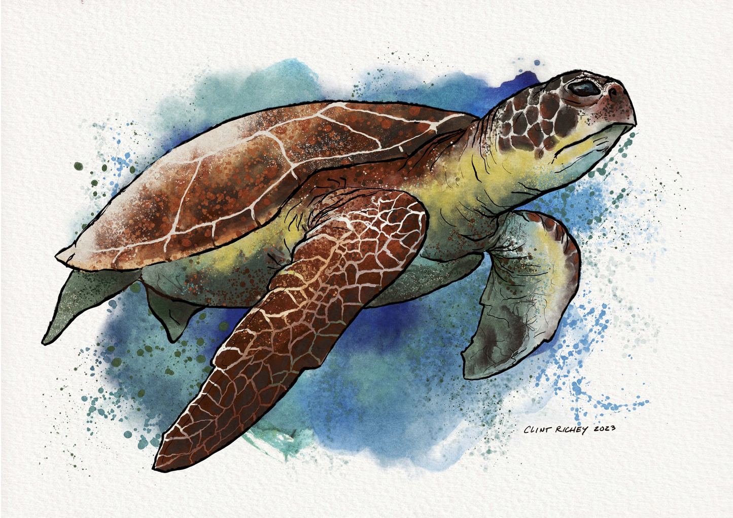 “Loggerhead” Print, 18”x24”