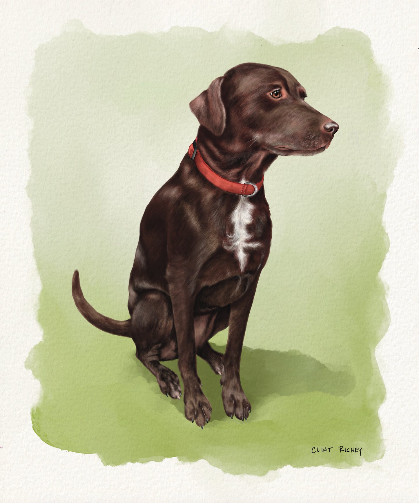 Custom Dog Portraits